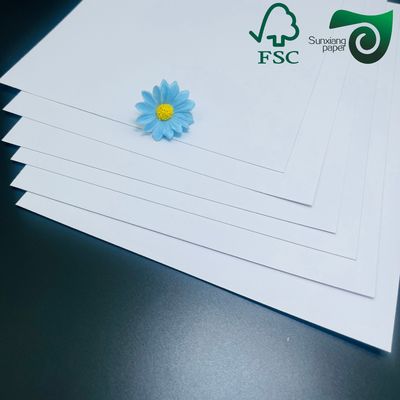 High Whiteness C2S Glossy Couche Paper 260gsm 300gsm 36inch 42inch Inkjet Printable