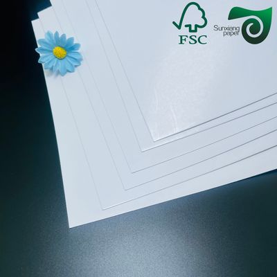 FSC 250gsm Glossy Text Cover Paper  610mm 860mm, High Brightness For Superior Printability