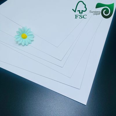 FSC 250gsm Glossy Text Cover Paper  610mm 860mm, High Brightness For Superior Printability