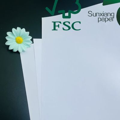 FSC Certified Virgin Wood Pulp High Bulky Book Paper 65g 70g 75g Sheets  Reels