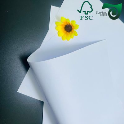 FSC Certified 80gsm Cream Uncoated Wood Free Paper  For School Notebooks  More
