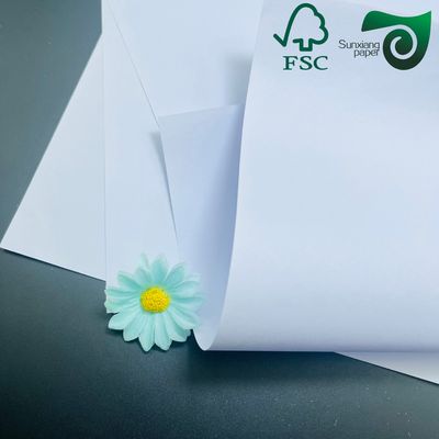 FSC Certified 80gsm Cream Uncoated Wood Free Paper  For School Notebooks  More