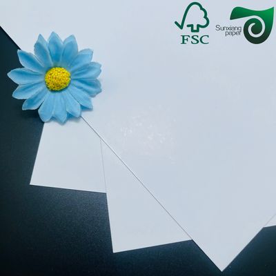 FSC Ivory SBS Paper Board  300gsm Single Sided Coated White Paper Board Premium Packaging