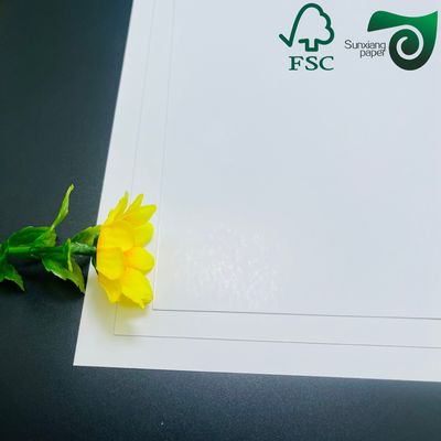 FSC 210gsm C1S FBB SBS Ivory Board Jumbo Rolls Versatile Widths For Packaging Printing