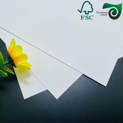 SBS White Coated Paper FBB Board 350gsm Premium Printing Grade