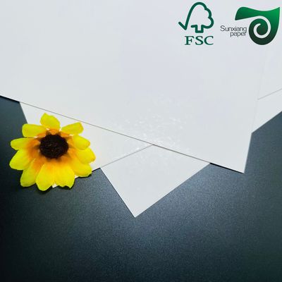 250gsm FSC High Brightness Glossy Text Cover Paper 610mm 860mm With Excellent Printability