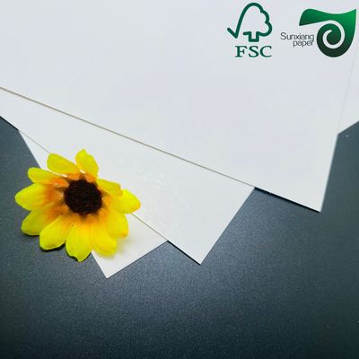 250gsm FSC High Brightness Glossy Text Cover Paper 610mm 860mm With Excellent Printability