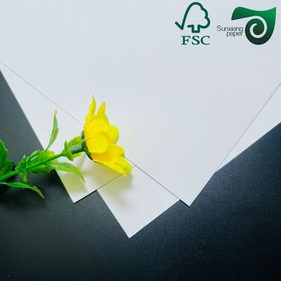 FSC Certified White Blue Coated CAD Plotter Rolls 80gsm 914mm 50m 5 Rolls Carton