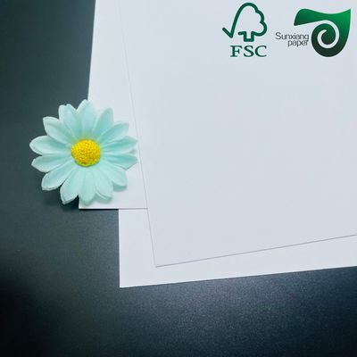 FSC  Uncoated Woodfree White Paper Rolls 180gsm 230gsm  Wholesale Shopping Bag Material From China