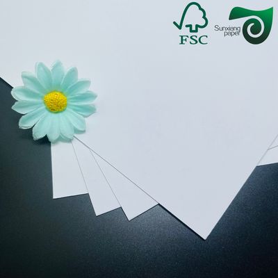 FSC 320gsm 350gsm Ivory Board With Single Side Coating Roll Width 400mm To 1500mm