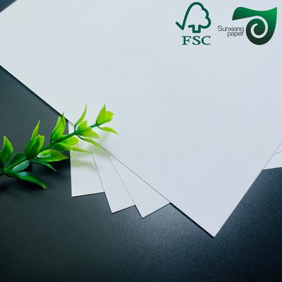 FSC 320gsm 350gsm Ivory Board With Single Side Coating Roll Width 400mm To 1500mm