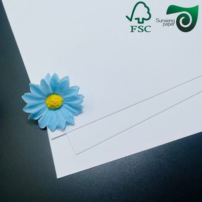 FSC 320gsm 350gsm Ivory Board With Single Side Coating Roll Width 400mm To 1500mm