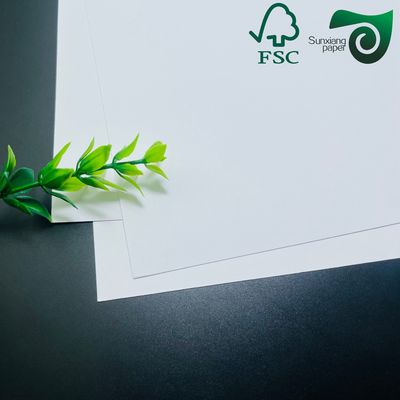 FSC 260gsm Top Ivory Board Paper With ISO Certification In Standard Size 787mm 1092mm