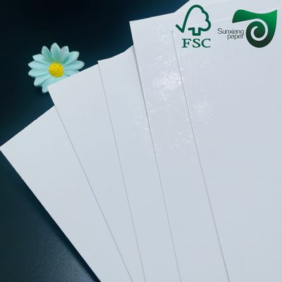 FSC 320gsm 350gsm Ivory Board With Single Side Coating Roll Width 400mm To 1500mm