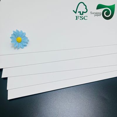 FSC 250gsm 260gsm Heat Resistant PET Coated Food Grade Oven Paper Rolls