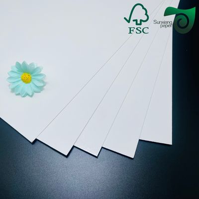 FSC 250gsm 260gsm Heat Resistant PET Coated Food Grade Oven Paper Rolls