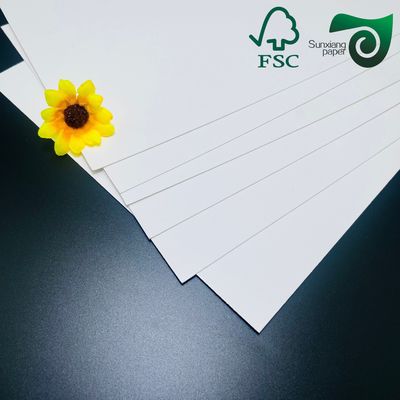 Fsc Certified Food Grade C1S SBS Solid Paperboard 215g  230g  Single Side Coated  30 40in