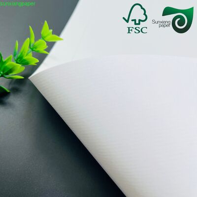 High Bulk GC1 Coated FBB Board 260gsm 325gsm Food Grade White Paperboard