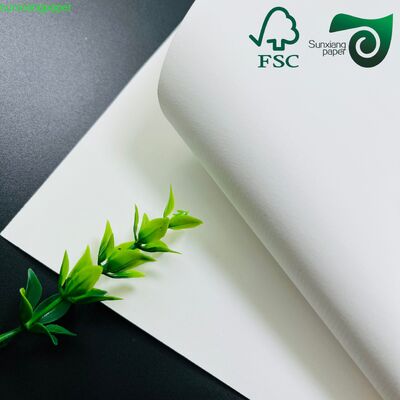 FSC 120gsm 180gsm Multi Color Textured Paper Cover For Binding Book 72 102cm