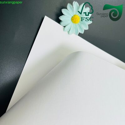 FBB C1S Single Coated White Folding Box Board 210gsm 400gsm Coated FBB