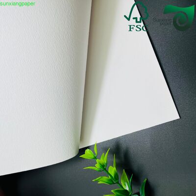 330gsm C1S High Adhesion Blister White Cardboard Craft Gift Packaging