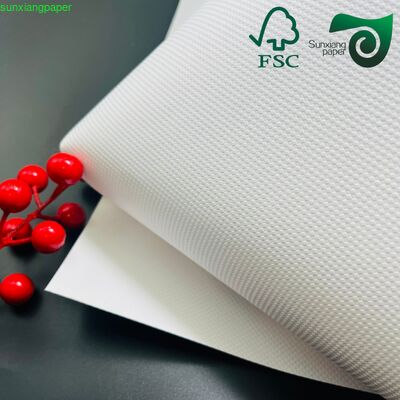 160gsm 180gsm Thick Colored Embossed Leather Grain Bristol Cover Paper
