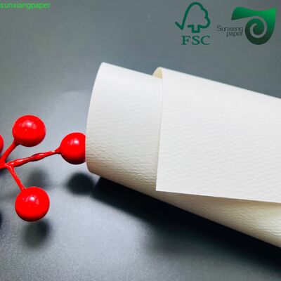 160gsm 180gsm Thick Colored Embossed Leather Grain Bristol Cover Paper