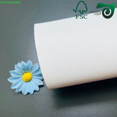 640mm 900mm FSC Double Sided Matte Coated Paper 250gsm 300gsm