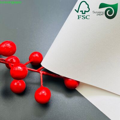 FSC 110gsm 230gsm Colorful Textured Cover Paper 100% Virgin Wood Pulp