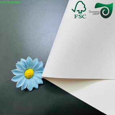 640mm 900mm FSC Double Sided Matte Coated Paper 250gsm 300gsm