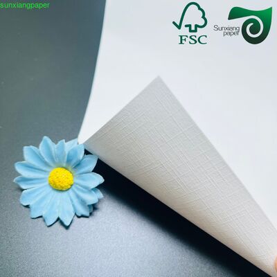 230gsm 400gsm Single Side Coated FBB Jumbo Rolls 90% Brightness