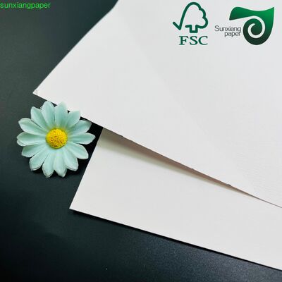 FSC 215gsm 230gsm Food Grade C1S SBS Solid Bleached Board One Side Coated