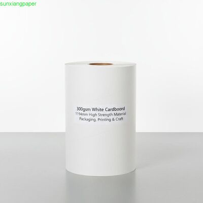 300gsm High Strength White Cardboard Roll in 1194mm Size for Packaging and Printing