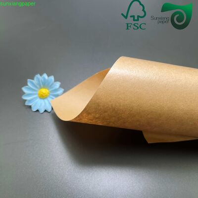 Food Grade Single Side PE Coated 250gsm Base 15g PE Lamination For Food Packaging