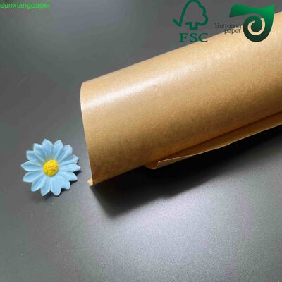 Oil-Proof Brown Kraft PE Coated Paper Rolls 80gsm 90gsm Food Direct Contact Packaging