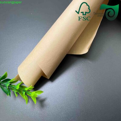 Food Grade Single Side PE Coated 250gsm Base 15g PE Lamination For Food Packaging