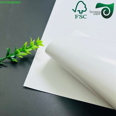 FSC FDA Food Grade Top Clay Coated Kraft Paper 275gsm 325gsm CKP Board