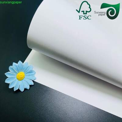 FSC FDA Food Grade Top Clay Coated Kraft Paper 275gsm 325gsm CKP Board