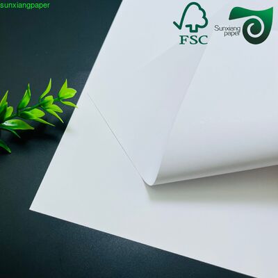 100% Pure Bamboo Pulp Paper Cup Use Paper 160GSM PE Coated Cupstock Paper  In Roll