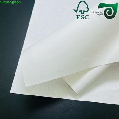FSC 275gsm PE Coated Frozen Food Packaging Board  Food Grade Virgin Wood Pulp