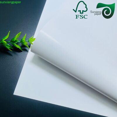 180gsm 350gsm Food Grade PE Coated Cupstock Paper Roll  For Disposable Paper Cup