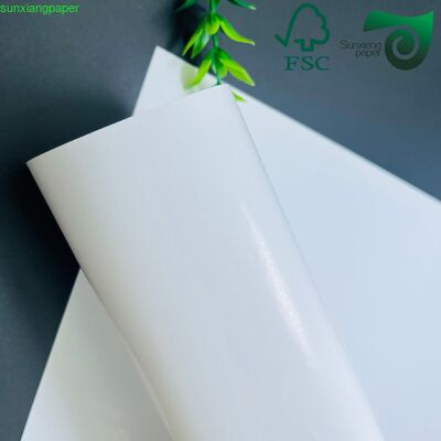 180gsm 350gsm Food Grade PE Coated Cupstock Paper Roll  For Disposable Paper Cup