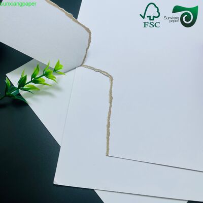 FSC 800gsm 1000gsm Double Sided Coated White Board White Core Grey Core Options