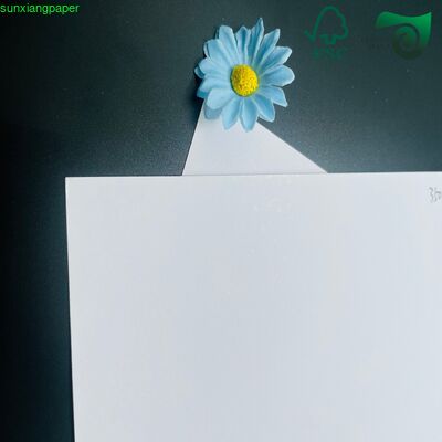 FSC 0.8mm 225gsm 2000gsm Off White Absorbent Pulpboard Drink Coaster Car Freshener Mat Board