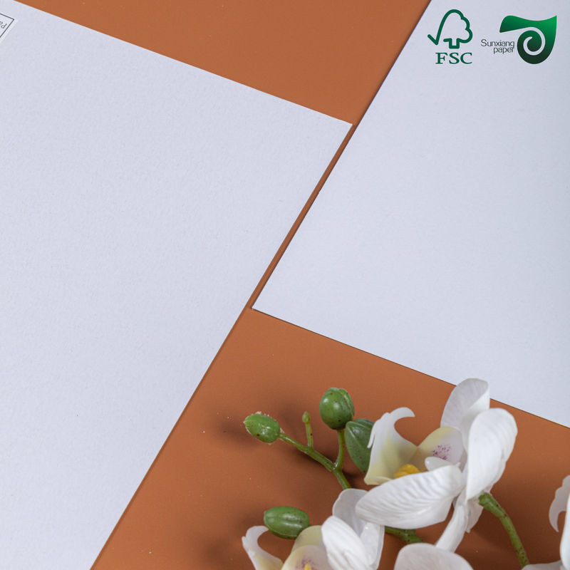 FSC 200gsm 500gsm White Duplex Board Paper Crafted From Recycled Pulp Coated Duplex Board