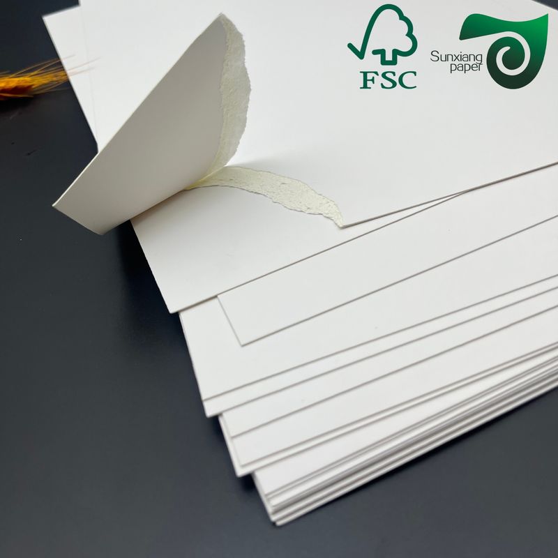 FSC Certified Single Side Clay Coated Food Grade FBB Paper Board 215gsm 295gsm For Medicine Boxes
