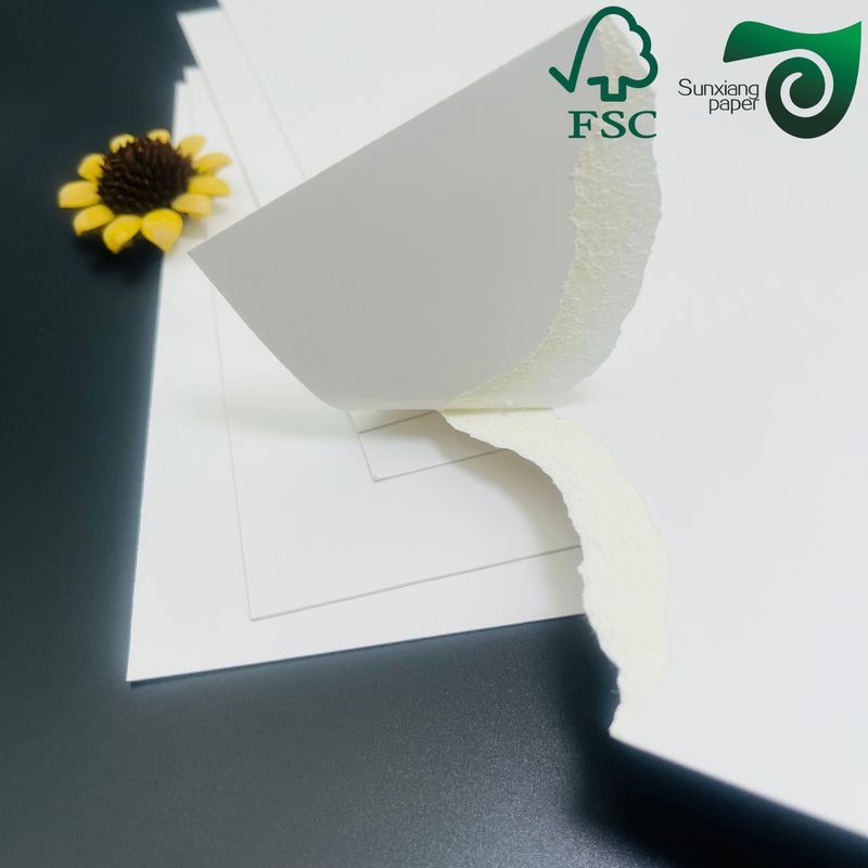 FSC 175g Thermal Blank Boarding Pass 18.8cm 8.3cm Custom Printed Flight Ticket Paper