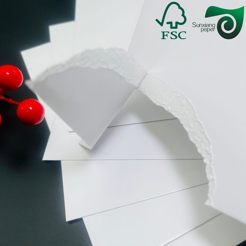 FSC 255g Single Coated Ivory White Cardboard  High Bulk Low Weight  Ideal For Writing Printing