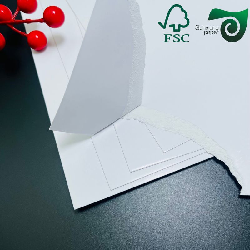 FSC C2S Matte Glossy Coated Printing Paper Art Board  80G 115G  635mm  900mm Sizes