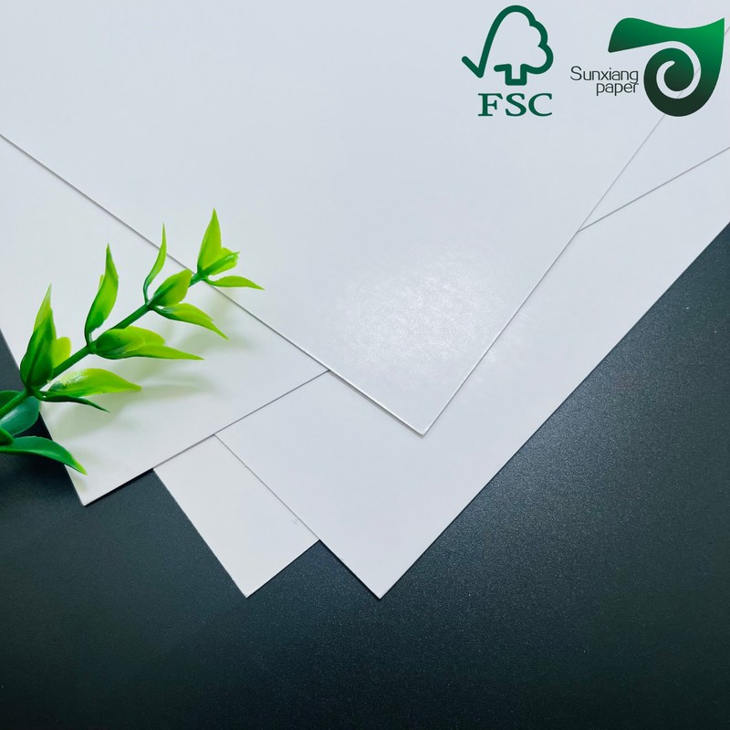 FSC C2S Matte  Glossy Coated Art Board 80G 115G  635mm 900mm Coated Two Sides